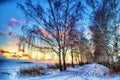 Winter sunset in the birch Avenue. Russia Royalty Free Stock Photo